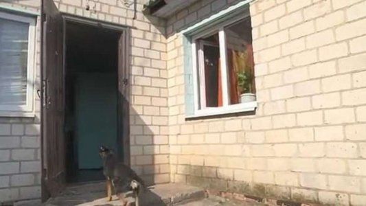 Decapitó a su marido mientras dormía, le cortó el pene y se lo tiró a los perros