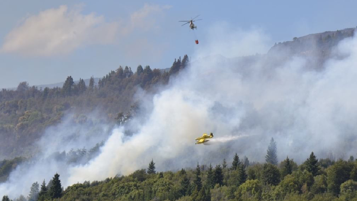 Advierten que el viento puede complicar la lucha contra el fuego en Los Alerces. (Foto: Parque Nacional Los Alerces)