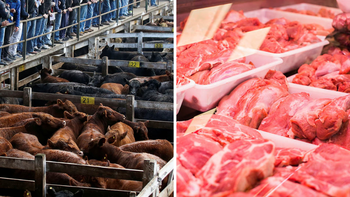 La producción de carne mostró un repunte en relación al año pasado