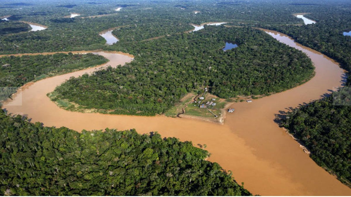 Ríos sinuosos y una vegetación tupida complican la búsqueda de los desaparecidos en el Amazonas (Foto: Gentileza: Folha de Sao Paulo)  