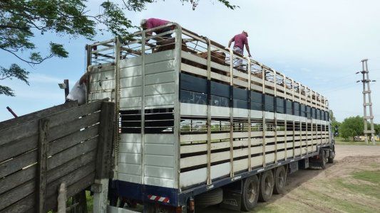 Tras el ataque al camión de hacienda, transportistas señalan los puntos más peligrosos y piden mayor seguridad