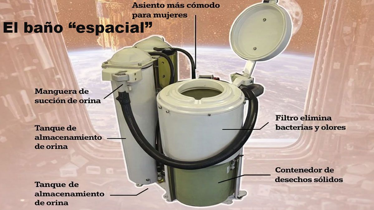 El baño de la cápsula Orión tiene particularidades dignas de conocer. Desde cómo se hace para entrar en él hasta cual es el destino de los desechos liberados por los astronautas. (Foto: A24.com)