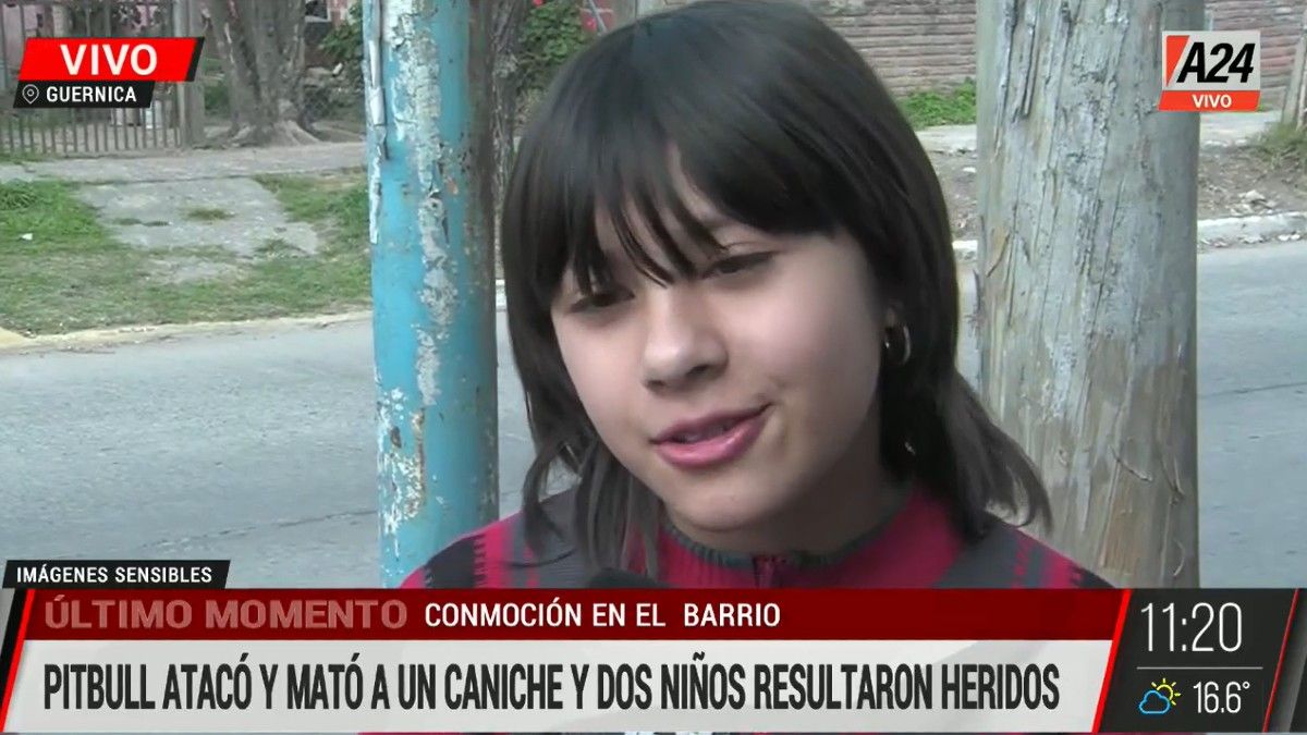 Lloraba más por mi perro que por lo que me pasó a mí