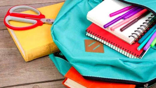 Ayuda escolar ANSES: calendario de cobro SUAF ANSES para mayo