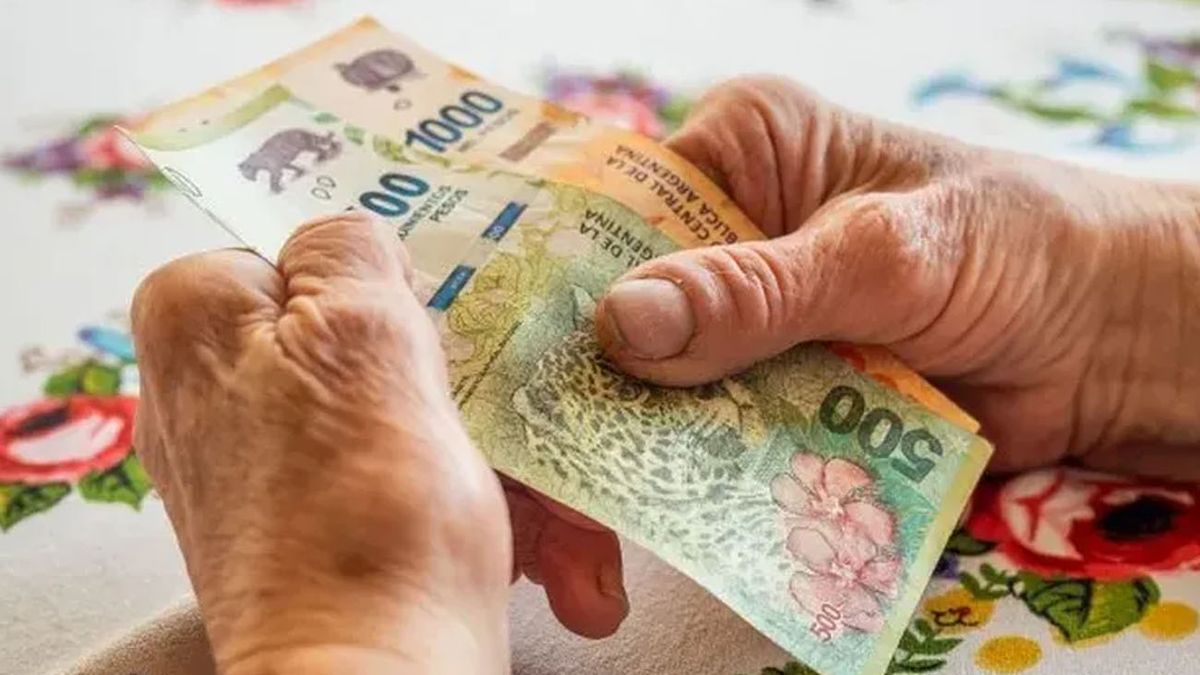 BONO de ANSES: cuánto me corresponde en MAYO