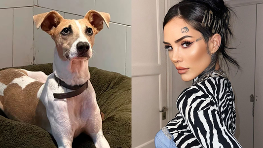 El enojo de Cande Tinelli con Gran Hermano por el cuidado de Arturo