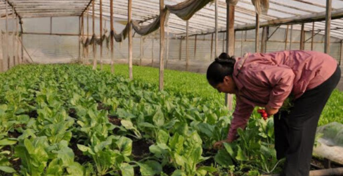 Buenos Aires lanza un plan para potenciar las cooperativas agropecuarias