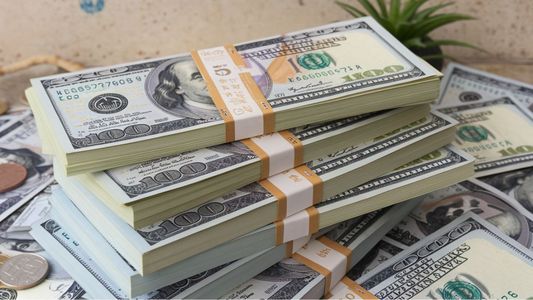 DÓLAR hoy, DÓLAR BLUE hoy: a cuánto COTIZAN este viernes 15 de noviembre