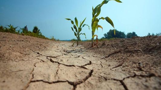 Declararon la emergencia agropecuaria en zonas de Buenos Aires y Santa Cruz