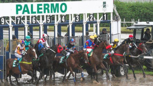 Tras 165 días, el turf vuelve este viernes al Hipódromo de Palermo aunque sin público