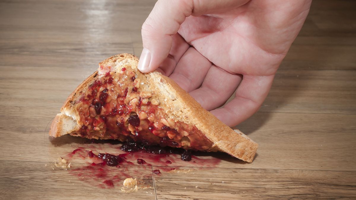 La conocida regla de los 5 segundos sostiene que un alimento que cae al piso puede consumirse si se lo recoge rápidamente.