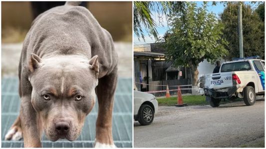 Dejó sola un segundo a su beba de un año y su pitbull la atacó de forma mortal