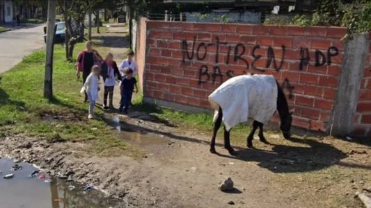 Liberaron a la mujer que descuartizó a su pareja, al considerarla víctima de violencia de género