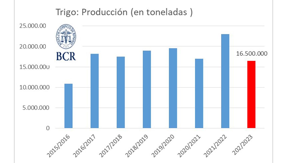 La futura cosecha y la producción de trigo, afectada por la dura sequía.