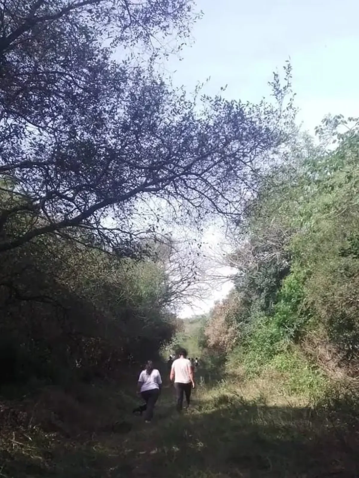 El camino hacia el naranjal, donde desapareció Loan. 