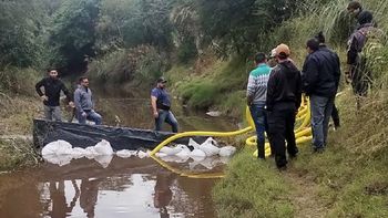 Caso Cecilia Strzyzowski: uno de los restos óseos encontrados en el campo de los Sena es humano