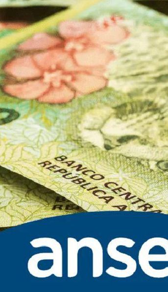 ANSES Cuándo cobro 20 de abril: Jubilados y pensionados, AUH, AFH, Asignación por Embarazo y APU