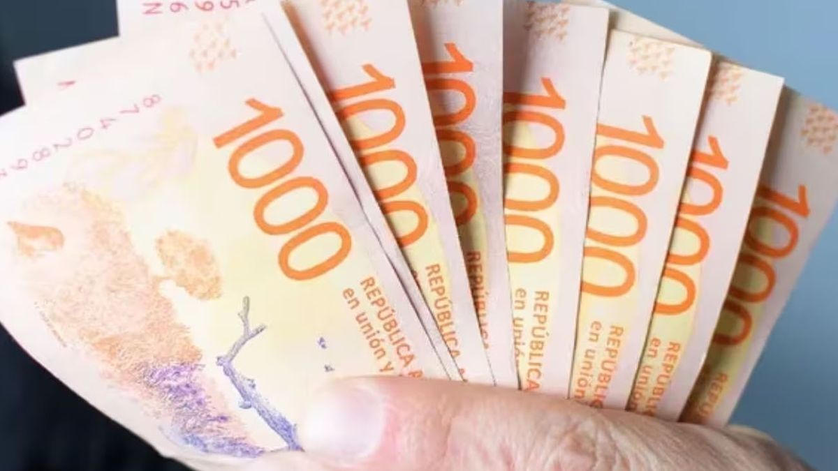 Atención ahorristas: la IMPORTANTE decisión del Banco Central con respecto a la tasa del PLAZO FIJO (Foto: archivo)