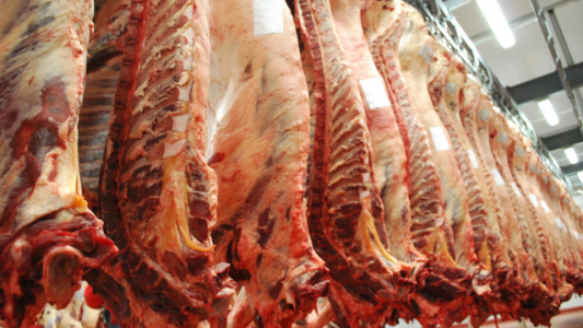 Así serán los precios de los cortes de carne en el acuerdo que firmó el Gobierno con los frigoríficos