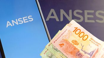 ANSES paga en JUNIO $ 100 EXTRA a estos grupos: a quién le corresponde (Foto: archivo)