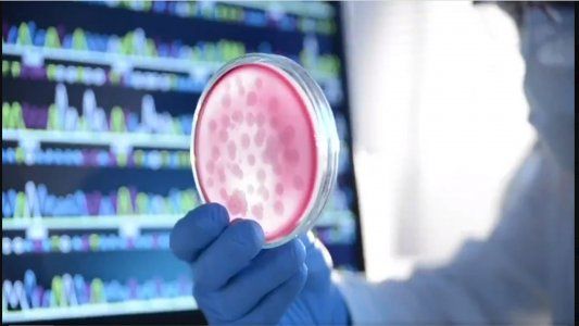 Pfizer reconoce que su vacuna baja significativamente la eficacia frente a la variante sudafricana del COVID y aleja la posibilidad de la inmunidad de rebaño