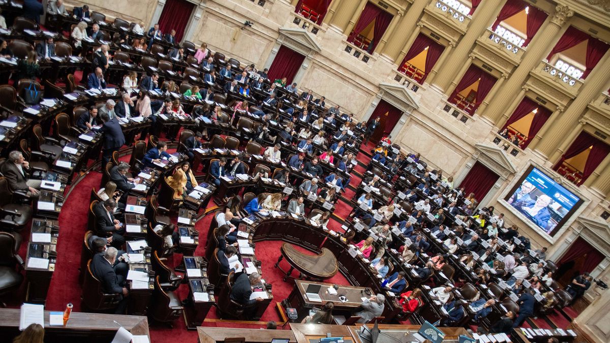 La Cámara de Diputados aprobó y envió al Senado el proyecto de devolución del IVA. (Télam)