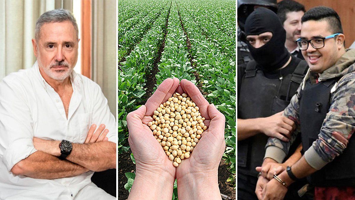 Marcelo Saín vinculó a la soja con el narcotráfico y Los Monos