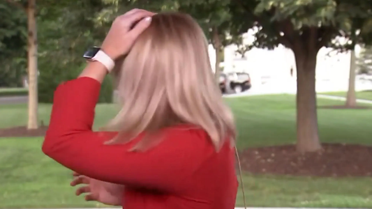 El pájaro que envió el Presidente: atacó a una periodista en vivo