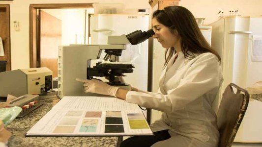 Brasil: hallan una cepa super mutante en Belo Horizonte