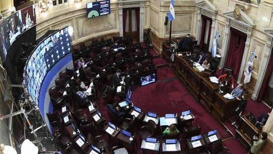 El Senado aprobó el proyecto para utilizar los Derechos Especiales de Giro del FMI para paliar los efectos de la pandemia