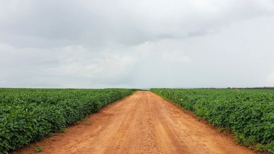 Beijing-Brasilia-Buenos Aires, el triángulo virtuoso de las 3 B