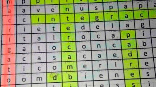 Denunciaron a un profesor que les dio a sus alumnos un crucigrama con las frases  Macri gato y Vidal miente