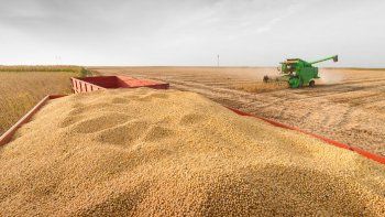 Cómo se define el actual precio de los granos y qué mirar a futuro