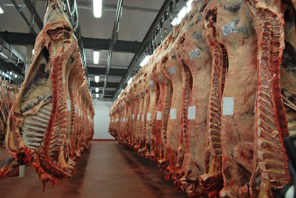 Las exportaciones de carne están frenadas por orden del Gobierno; desde CICCRA sostienen que afectó a la producción.