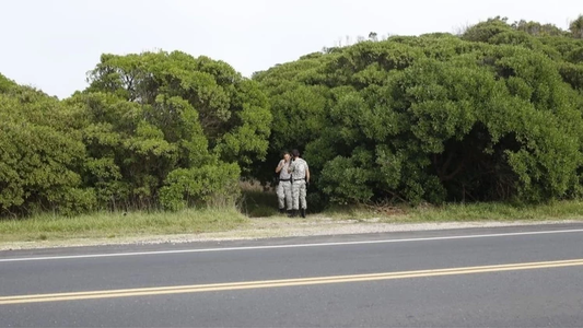 Misterio en Mar del Plata: hallan el cuerpo de una mujer en un acantilado y descubren un dato macabro