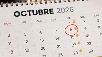 ANSES: empieza el calendario de pagos de octubre y estas son todas las fechas
