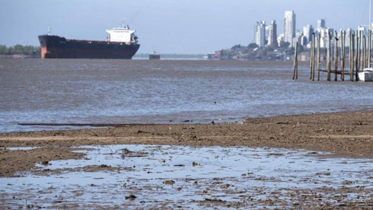 Bajante del Paraná: una crisis hídrica histórica que afecta al medio ambiente y a siete provincias