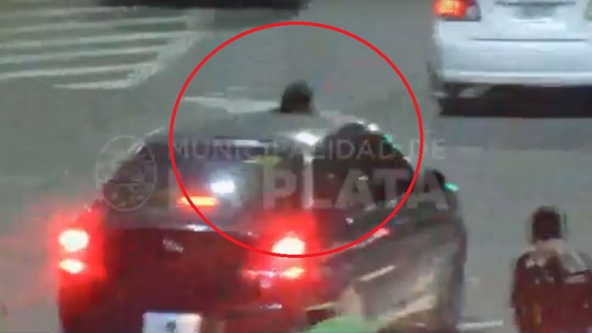 El procedimiento estaba siendo observado por las cámaras municipales del Centro de Operaciones y Monitoreo (COM)