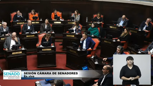 El Senado bonaerense votó a favor de la suspensión de las PASO