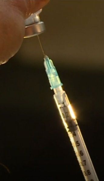 La cepa británica del coronavirus ya se expandió a 60 países, según la OMS