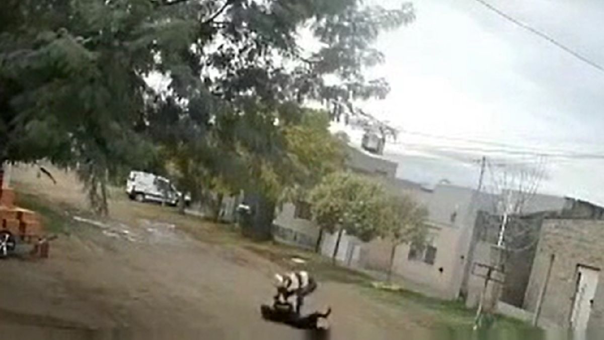 Maltrato animal. Ocurrió en el barrio Loma Paraguaya de Bahía Blanca. Foto: captura de video.