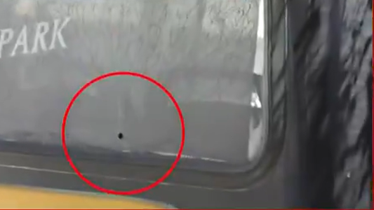 La nena se dio cuenta de que sangraba la madre: el durísimo testimonio de una de las testigos del crimen en el colectivo en San Justo