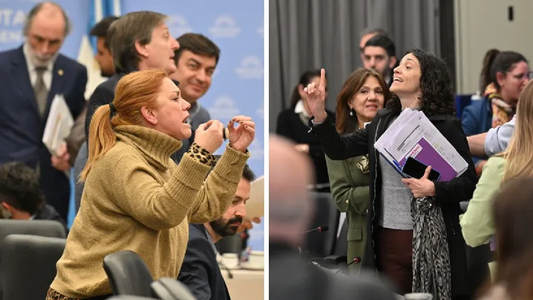 La feroz discusión entre diputadas del Frente de Todos y Juntos por el Cambio: Chorra sos vos