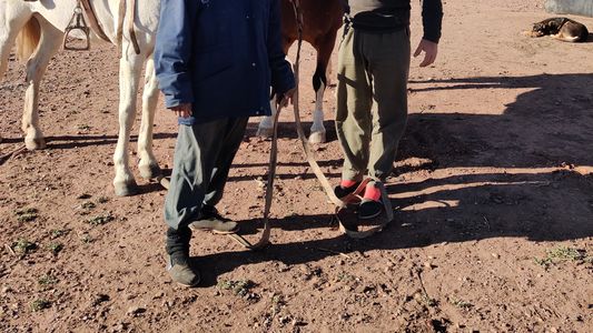 El país a caballo: la historia del agrónomo que recorre la Argentina con un mensaje de unión