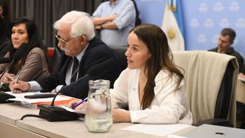 María Ibarzábal Murphy defendió en Diputados el proyecto de Defensa de Soberanía Nacional