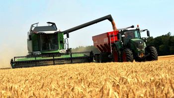 La agroindustria también tendrá su observatorio: lanzan un libro que analiza a las cadenas agroalimentarias