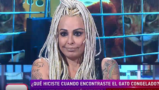 Daniela Cardone contó qué hizo cuando encontró el gato congelado en la bodega de un avión