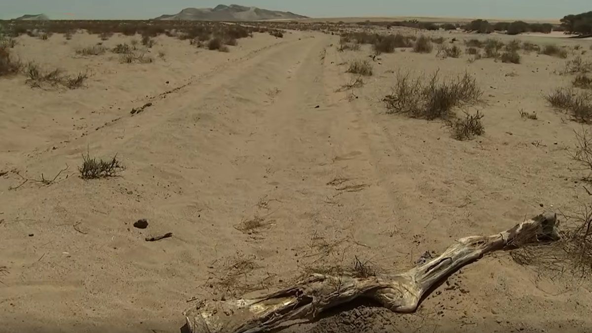 La desertificación en desmedro de áreas cultivables, algunos de los efectos del cambio climático (Foto: COP26)