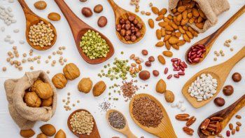 Semillas comestibles: variedad y nutrición