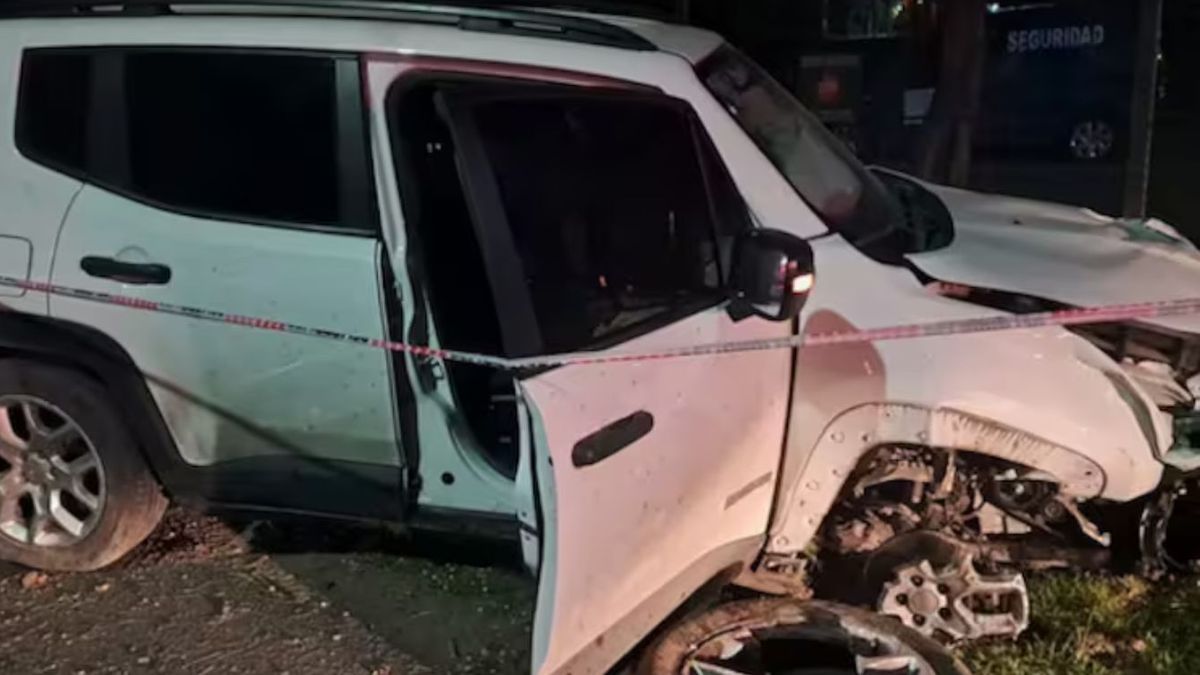 Se film&oacute; manejando a 140 km/h y termin&oacute; contra un poste. (Foto: gentileza El D&iacute;a de Escobar)